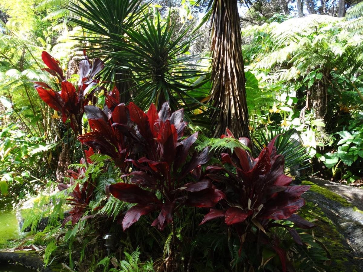Chalet Kilauea โวลคาโน ภายนอก รูปภาพ
