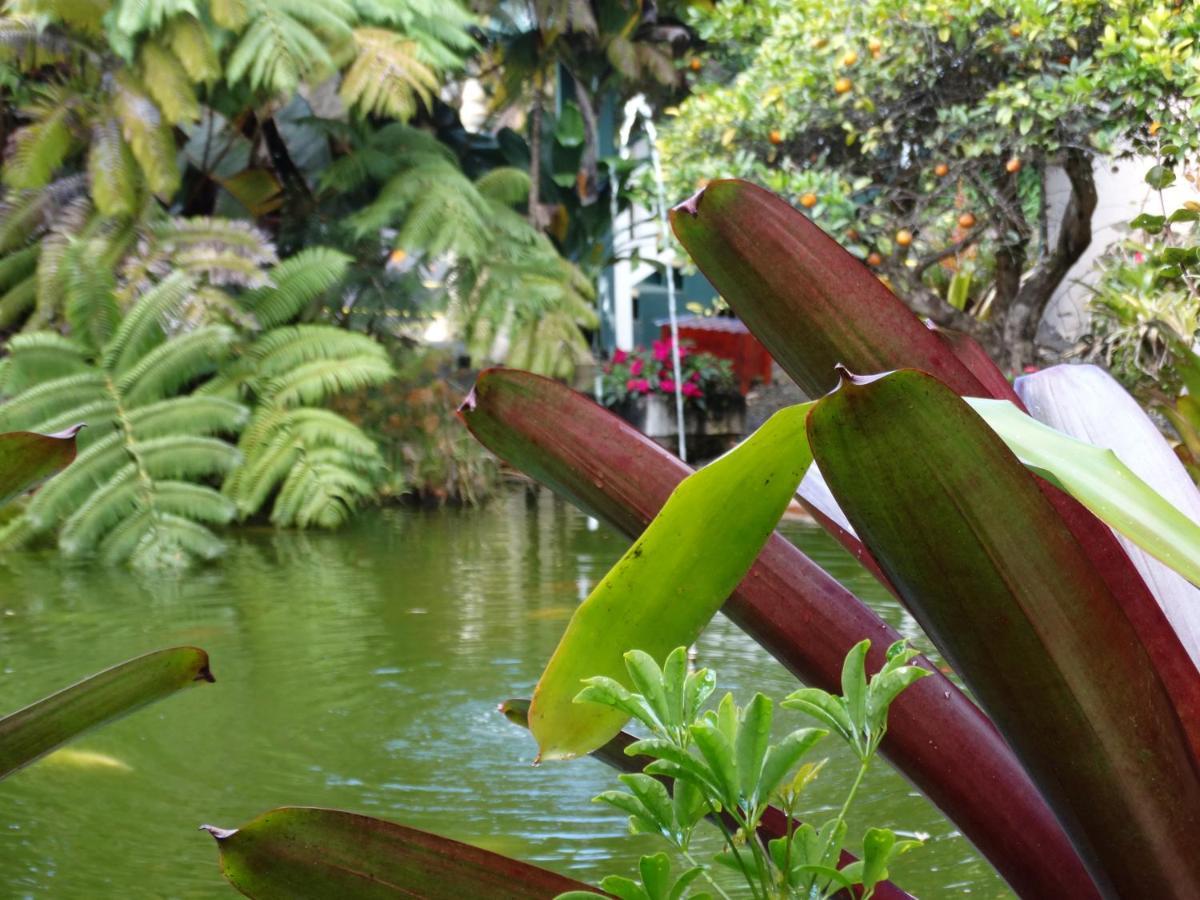 Chalet Kilauea โวลคาโน ภายนอก รูปภาพ